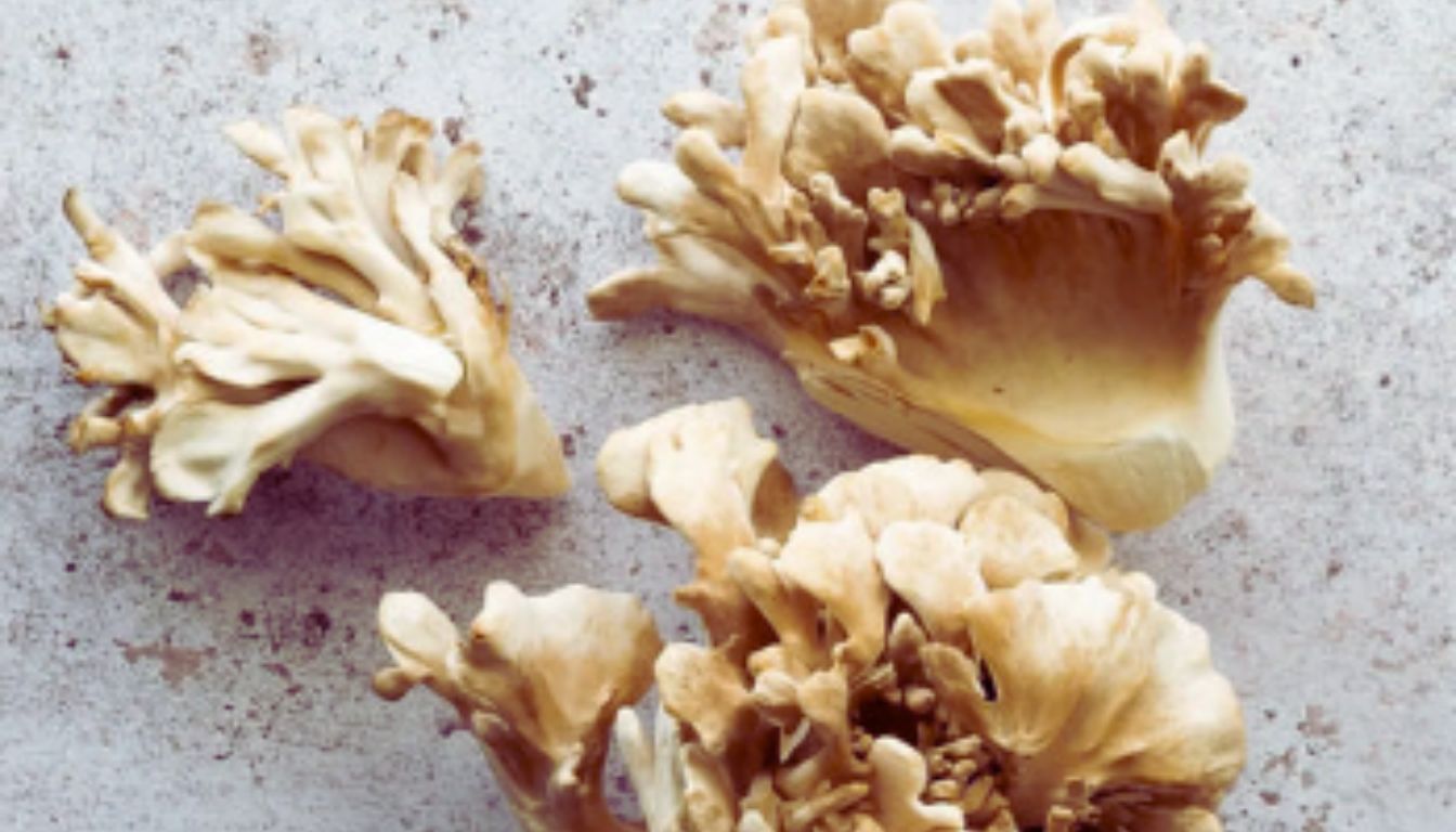 Three clusters of maitake mushrooms on a light-colored surface.