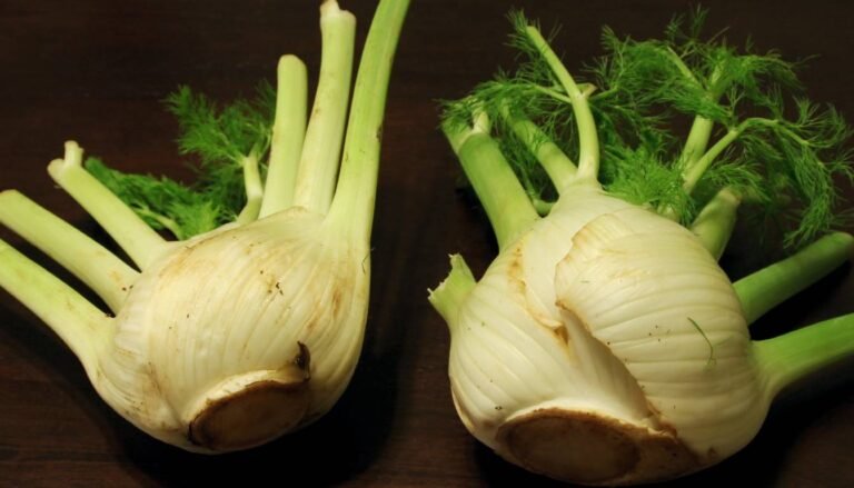 Herb That Tastes Like Licorice: Characteristics and Uses (2026)