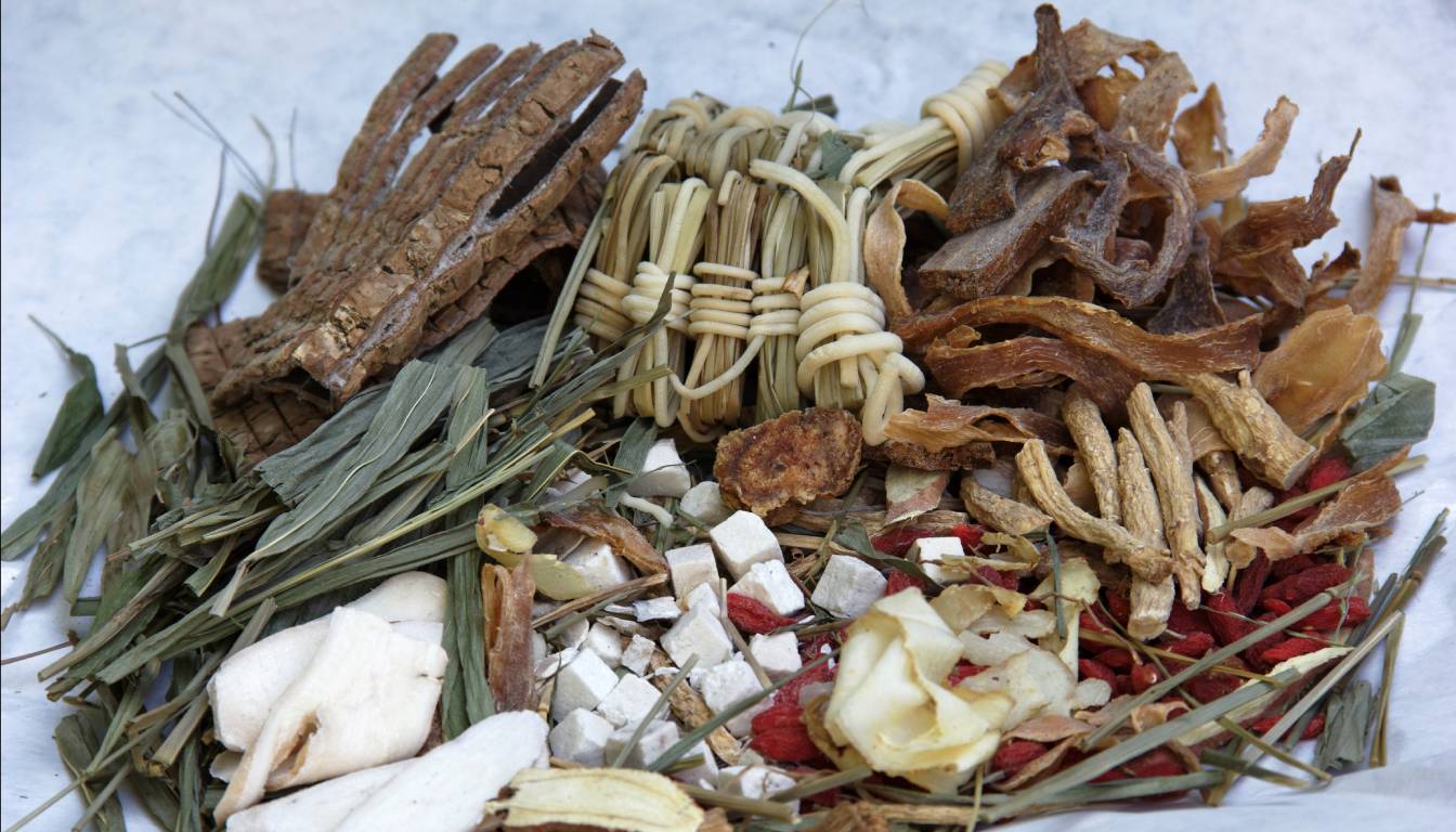 A variety of dried traditional Chinese herbs, including bark, roots, leaves, and other plant materials, arranged on a white surface.