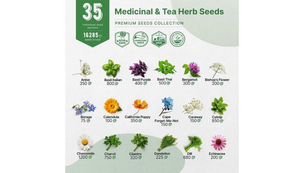 Medicinal & Tea Herb Seeds Premium Collection featuring 35 varieties with 16,285 seeds total, including anise, Italian basil, purple basil, Thai basil, bergamot, bishop’s flower, borage, calendula, California poppy, cape forget-me-not, caraway, catnip, chamomile, chervil, cilantro, dandelion, dill, and echinacea.