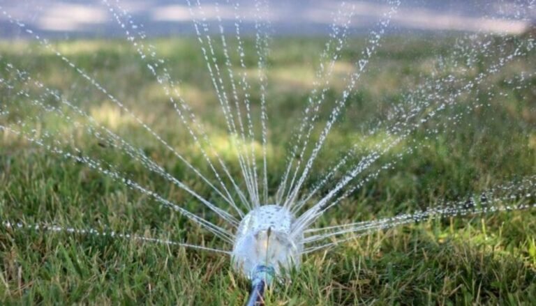 10 Essential DIY Gardening Tools You Can Make at Home (2026)