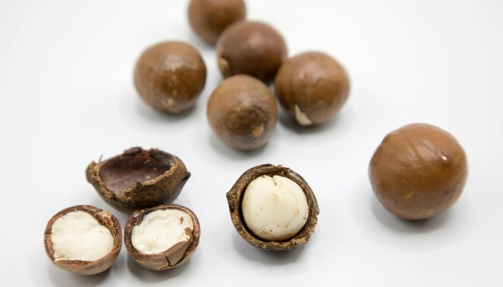 A handful of macadamia nuts scattered on a wooden surface, some whole and some halved to reveal their creamy, white interior.