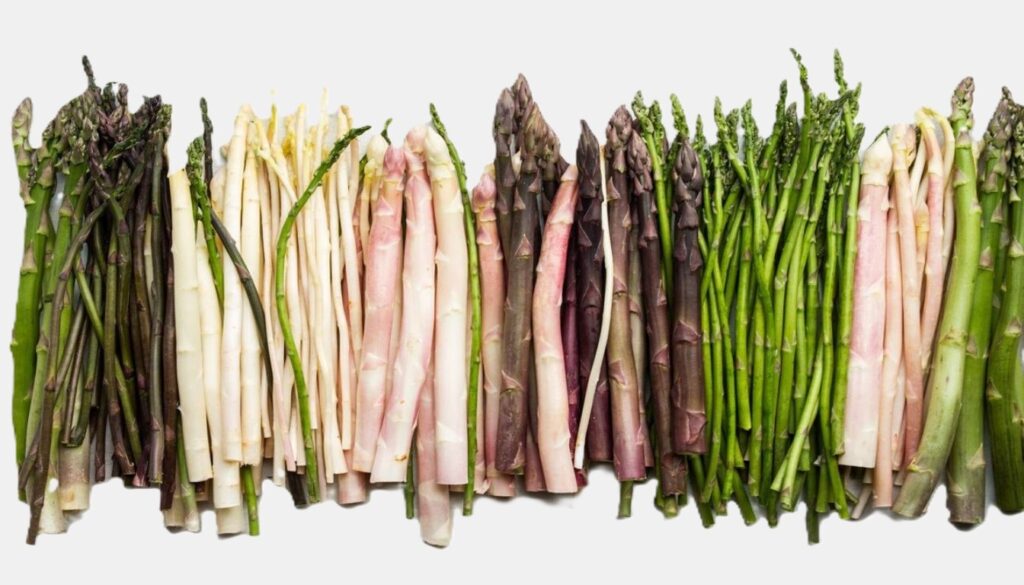 A variety of asparagus spears in green, white, and purple hues, neatly arranged on a wooden cutting board.