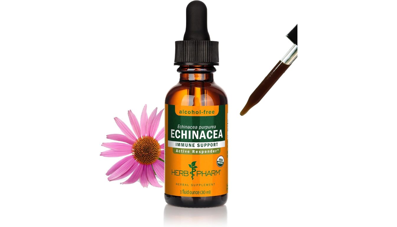 A bottle of Herb Pharm Echinacea Root Extract with a dropper cap, featuring an amber glass design and labeled as an alcohol-free immune support supplement.