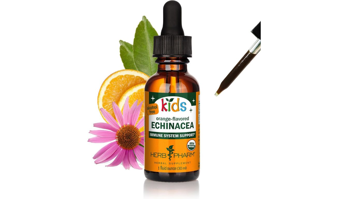 A bottle of Herb Pharm Kids Echinacea Glycerite Liquid Extract with a dropper, emphasizing its alcohol-free and orange-flavored formula for children's immune support.