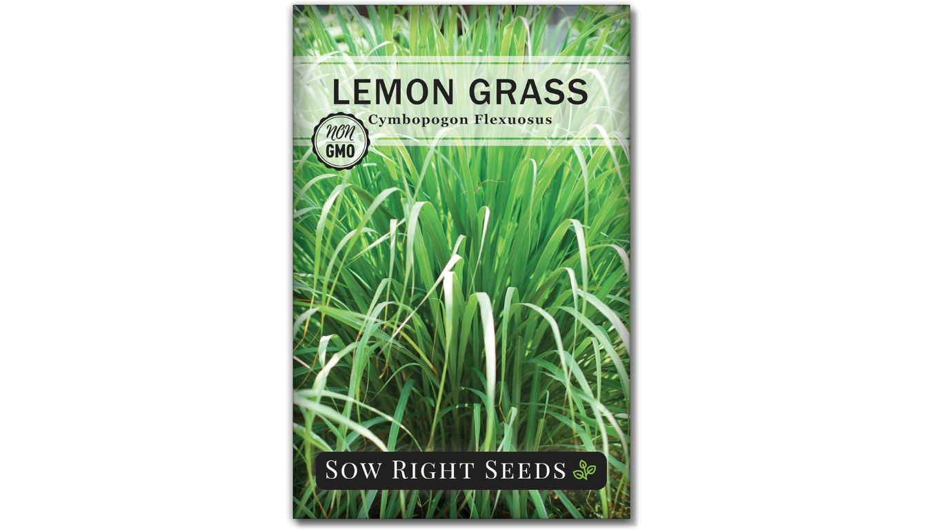 A packet of lemon grass seeds from Sow Right Seeds, labeled as non-GMO.