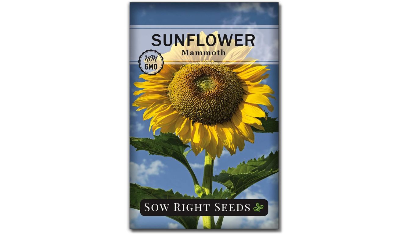 A packet of Mammoth Sunflower seeds from Sow Right Seeds, featuring a large, vibrant sunflower with yellow petals and a green stem against a blue sky with clouds.