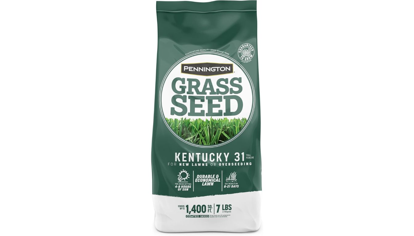 A bag of Pennington Kentucky 31 Penkoted Grass Seed placed on a lawn with details about coverage and seed quality.