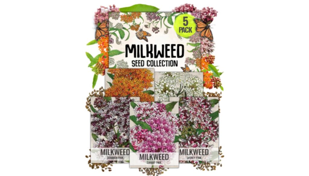 A collection of milkweed seed packets featuring various types of milkweed flowers and a "5 Pack" label.