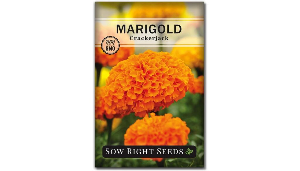 A packet of Sow Right Seeds featuring Crackerjack Marigold flowers. The packet displays vibrant orange marigold blooms with the text "MARIGOLD Crackerjack" and "NON GMO" on the upper part. The bottom part of the packet has the brand name "Sow Right Seeds" with a small green leaf icon.