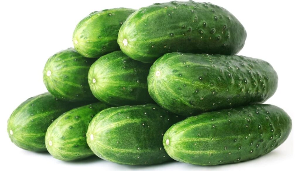 A pile of fresh, green cucumbers stacked in a pyramid shape.