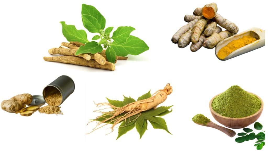 A selection of super herbs, including turmeric, ginger, and ginseng, displayed in their raw and powdered forms.