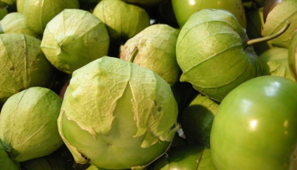 Close-up image of several fresh green tomatillos, some still encased in their papery husks.