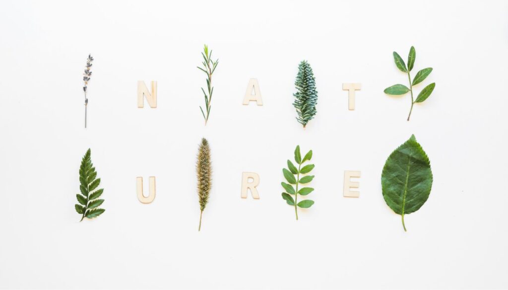 A variety of fresh herbs, including rosemary, ginseng, and peppermint, displayed on a rustic wooden table, emphasizing natural remedies for mental clarity.
