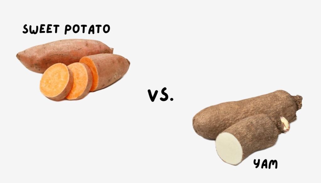 Side-by-side comparison of a sweet potato and a yam, highlighting the differences in skin texture and flesh color.