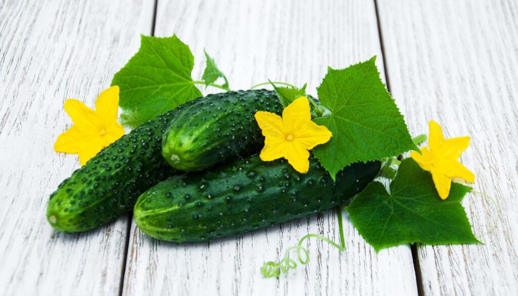 Fresh cucumbers sliced and whole, arranged on a wooden cutting board with a knife, surrounded by herbs and vegetables.