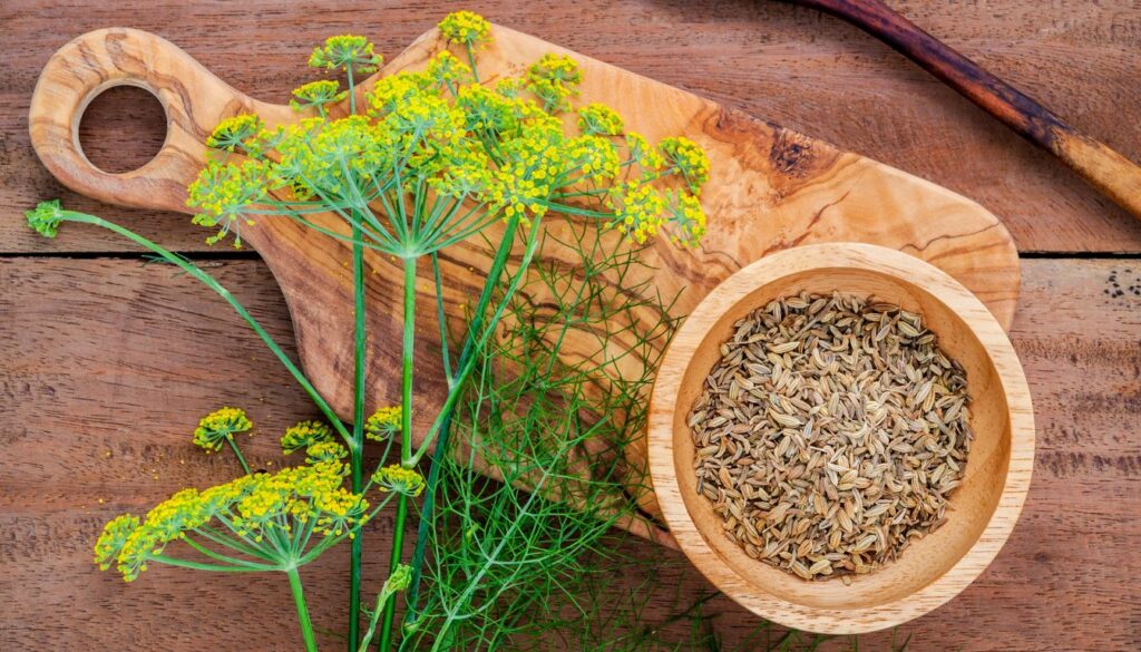 Fresh dill flowers and dried seed heads displayed on a rustic wooden cutting board.