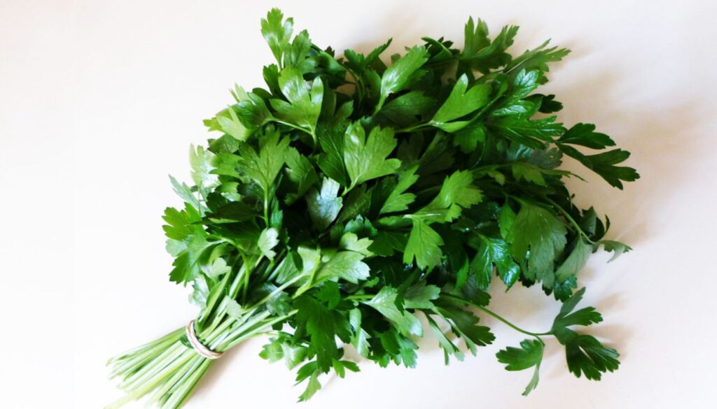 A close-up of fresh Italian flat leaf parsley leaves, displaying their vibrant, deep green color and serrated edges on a rustic background.