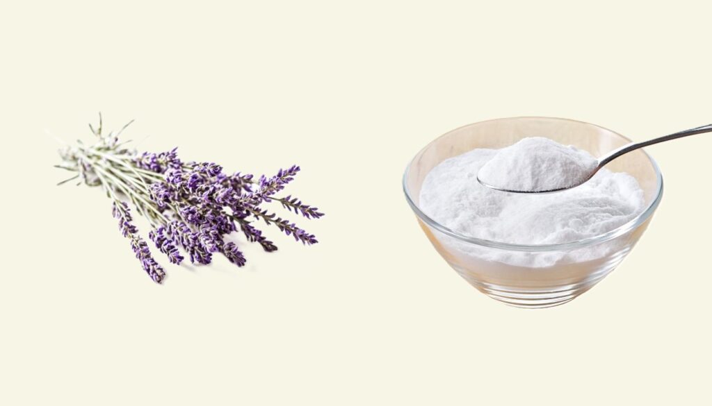 A bundle of fresh lavender flowers next to a bowl of baking soda, with a wooden spoon resting inside the bowl on a countertop.