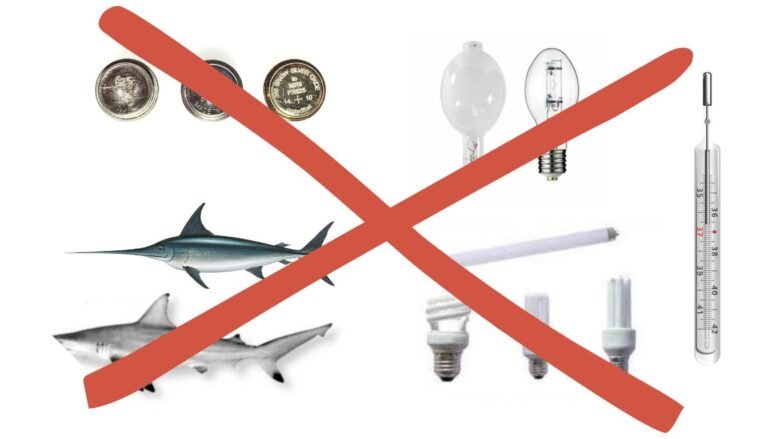 Mercury Poison: Sources, Symptoms, and Prevention Tips (2026)