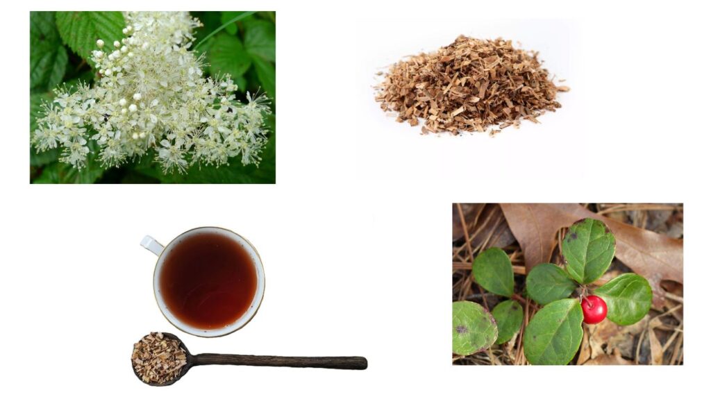 A cup of herbal tea accompanied by a wooden spoon filled with dried medicinal plant material, symbolizing natural remedies for pain and inflammation.