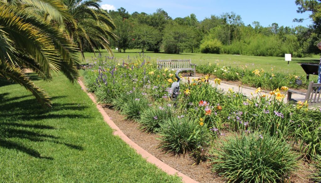 A vibrant coastal landscape featuring diverse plants such as dune grasses, flowering shrubs, and salt-tolerant trees, thriving along a sandy shoreline with gentle waves in the background.