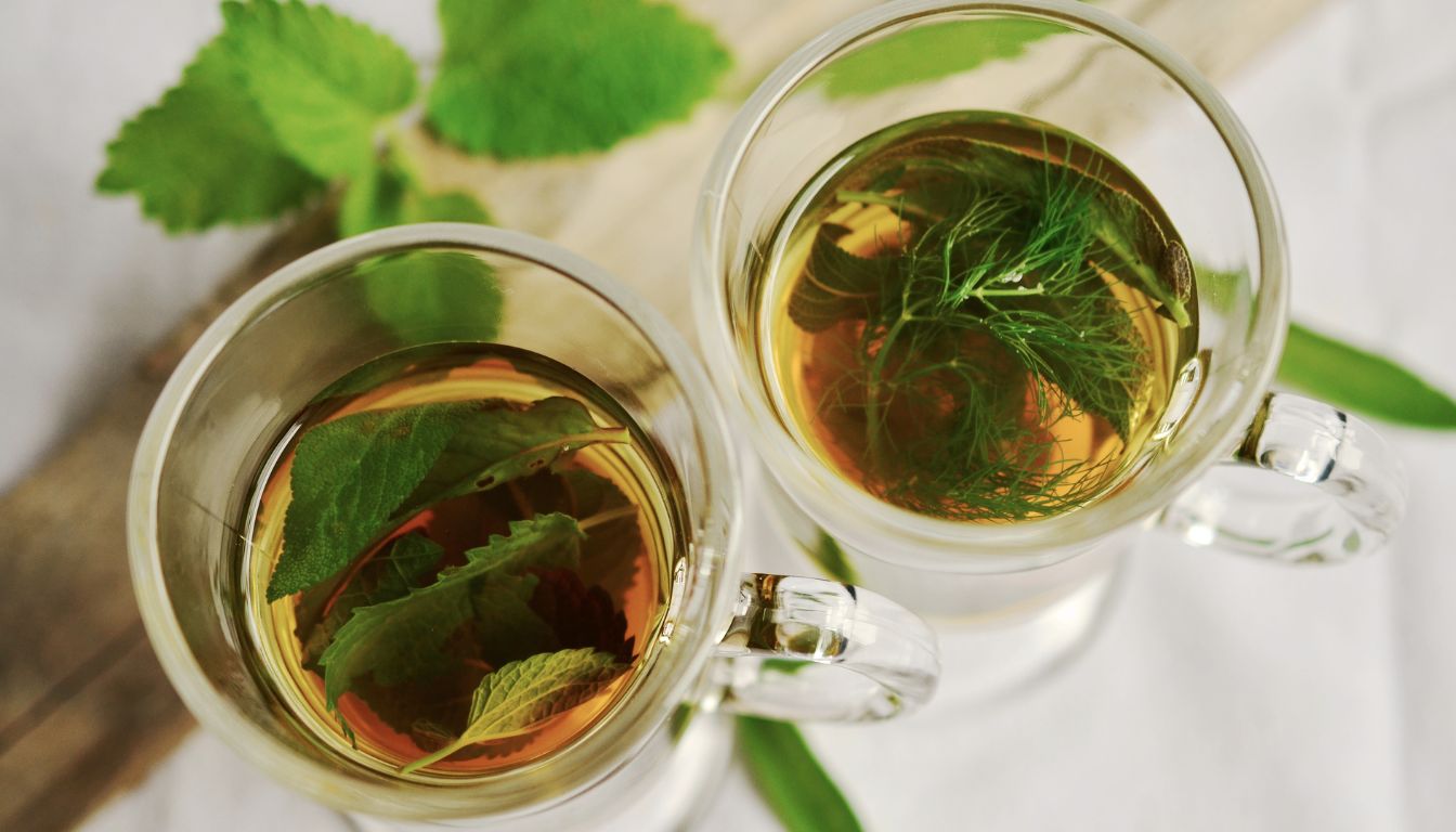 Best Herbal Teas for Relief from Urinary Tract Infections (2026)