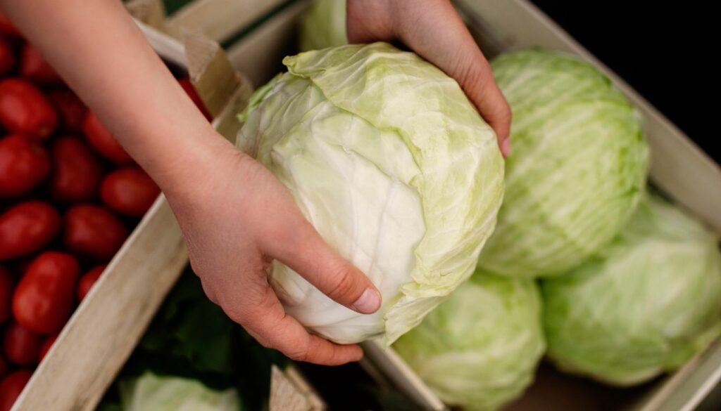 A fresh head of cabbage next to a jar of fermenting sauerkraut on a rustic wooden table.
