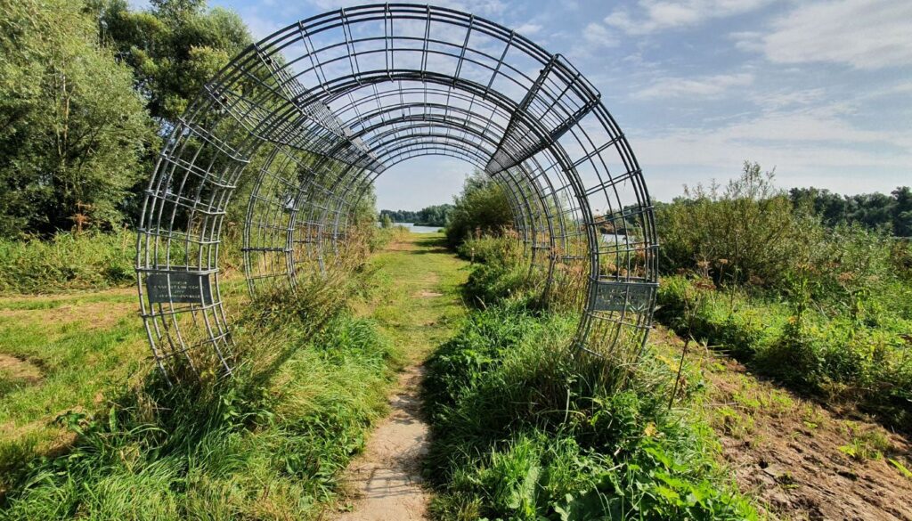 Rustic cattle panel arch in a blooming garden with climbing vines.