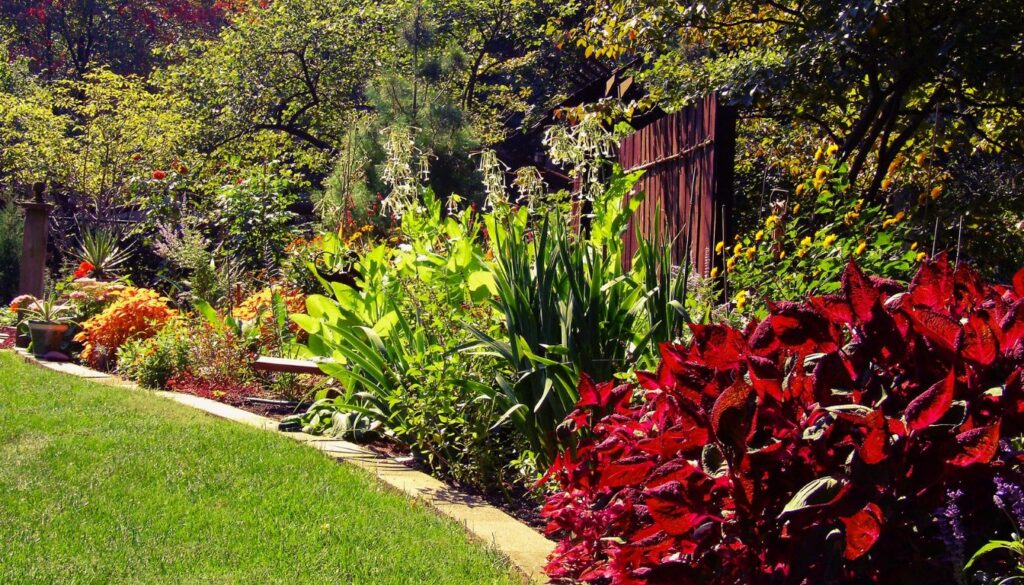 A vibrant garden bed edged with an array of blooming perennial border flowers.