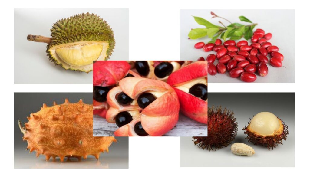 A vibrant collage of rare, exotic fruits-including durian, rambutan, miracle fruit, kiwano, and ackee-showcasing nature’s hidden delights.