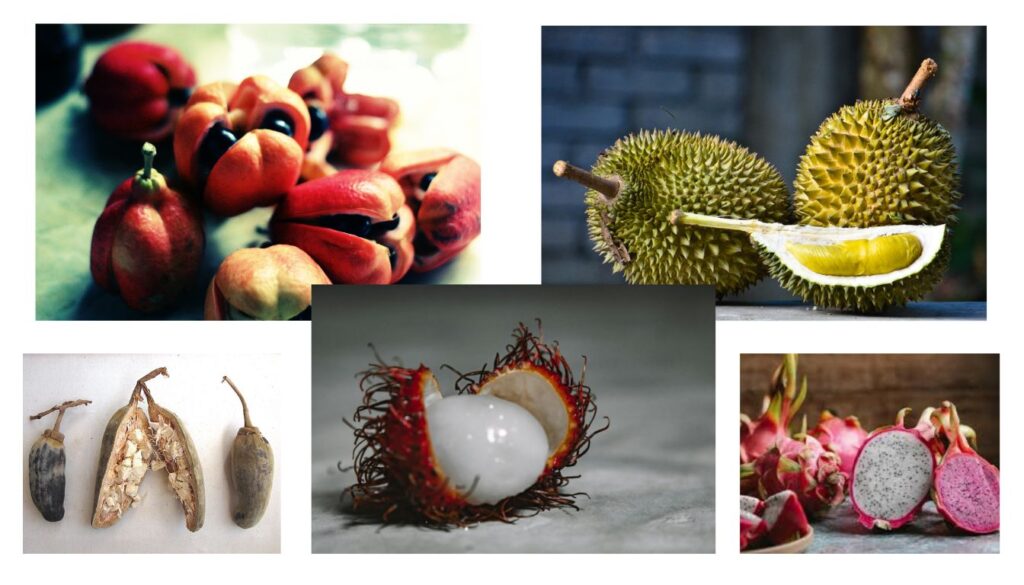 A vibrant display of exotic fruits-from dragon fruit to starfruit-arranged artfully on a rustic surface.
