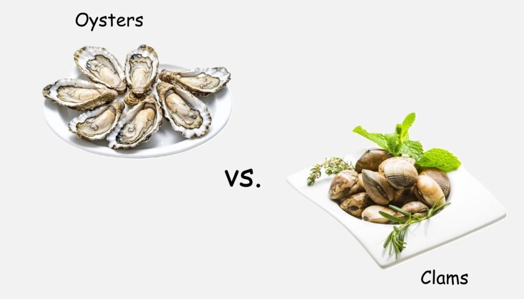 A close-up view of fresh oysters and clams arranged artfully on a bed of ice, highlighting their natural textures and vibrant hues.