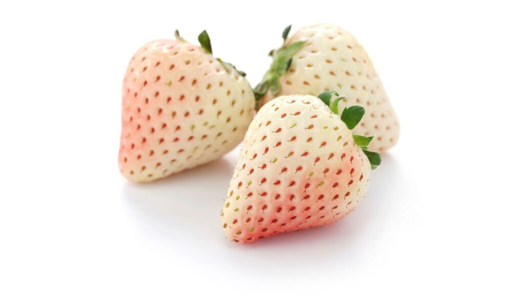 A close-up of fresh white strawberries with delicate red seeds, highlighting their unique color and texture.