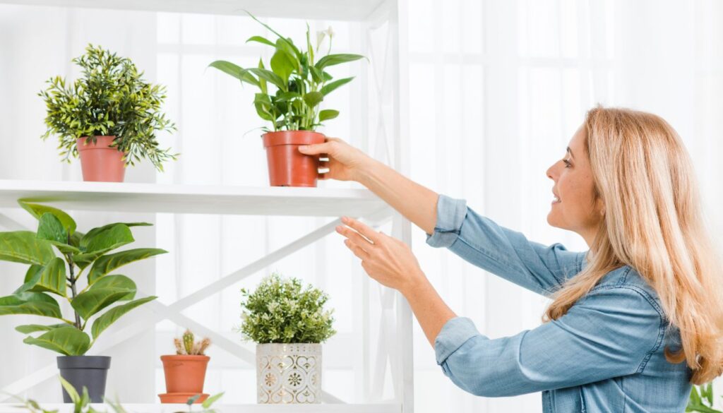A cozy indoor space with various potted plants, including leafy greens and vibrant flowers, arranged near a window with natural light.