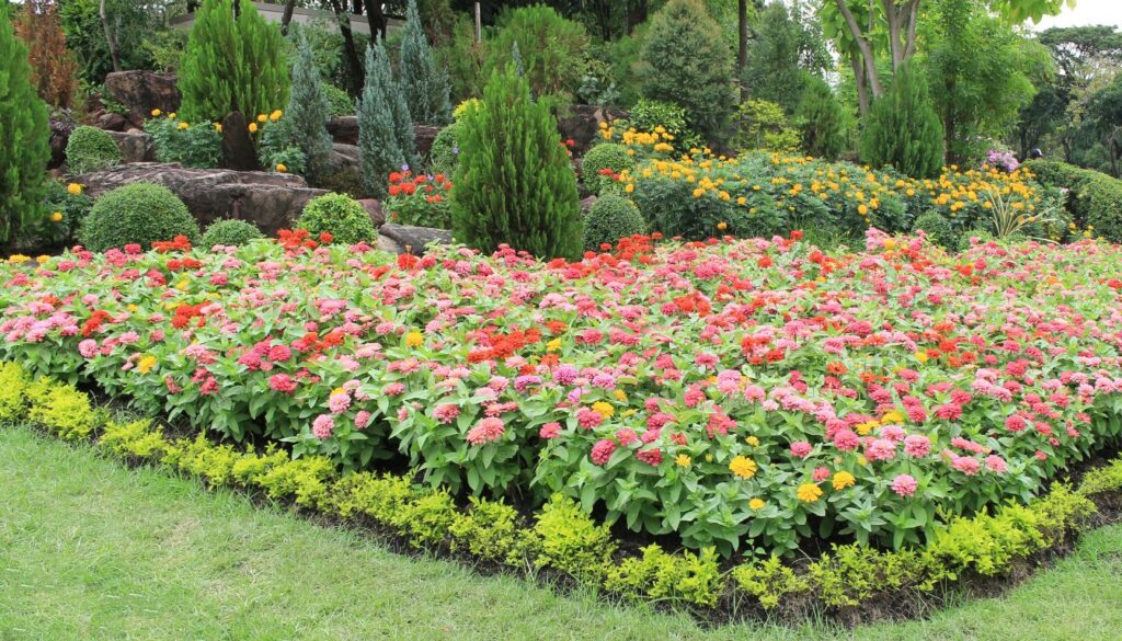 A vibrant garden featuring seven different low-maintenance flowers, including daylilies, sedum, lavender, coneflowers, black-eyed Susans, catmint, and hardy geraniums, thriving with minimal care.