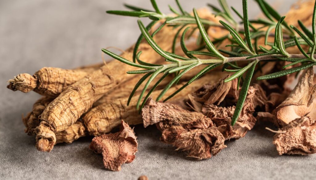 A selection of adaptogenic herbs, including dried roots and leaves, known for their stress-reducing and cortisol-balancing properties.