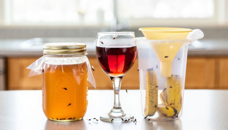 3 Ways to Get Rid of Flies in the Kitchen - wikiHow