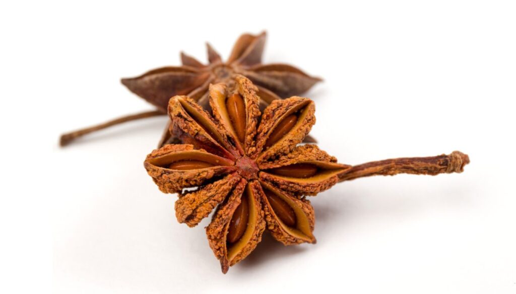A single dried star anise pod resting on a clean white background, showcasing its distinct star shape and deep brown color.
