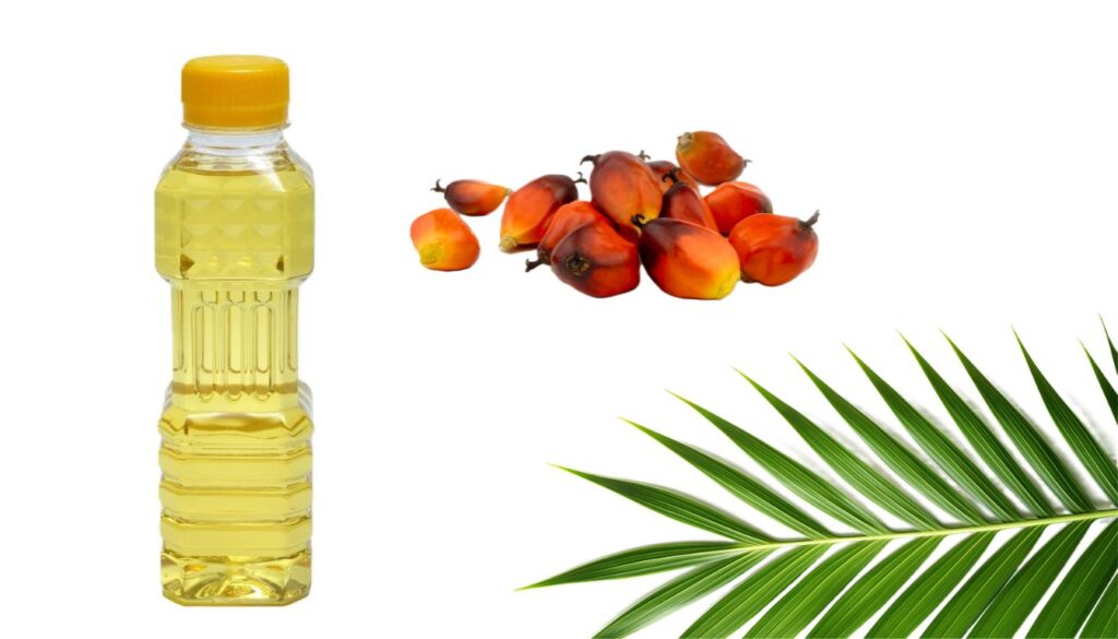 A close-up of ripe palm fruits clustered together, showcasing their vibrant reddish-orange color and glossy texture.