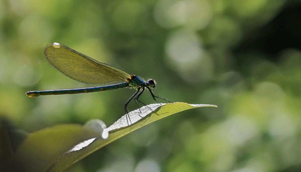 Close-up of green hops growing on a vine with leaves in a garden setting, under a clear blue sky.
