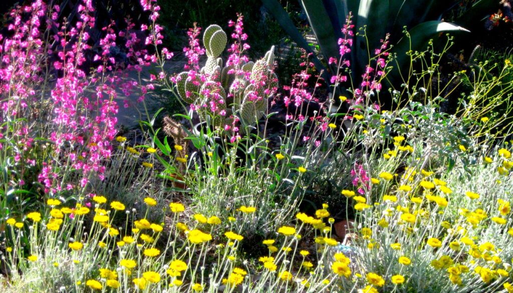 A lush garden filled with vibrant flowers and greenery, showcasing the beauty of reseeding plants in a sustainable landscape.