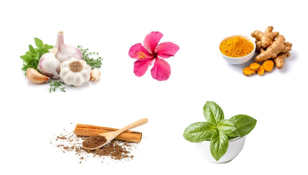 A collection of herbs and spices including garlic, hibiscus flower, turmeric, cinnamon, and basil, which are known for their potential to naturally lower blood pressure.