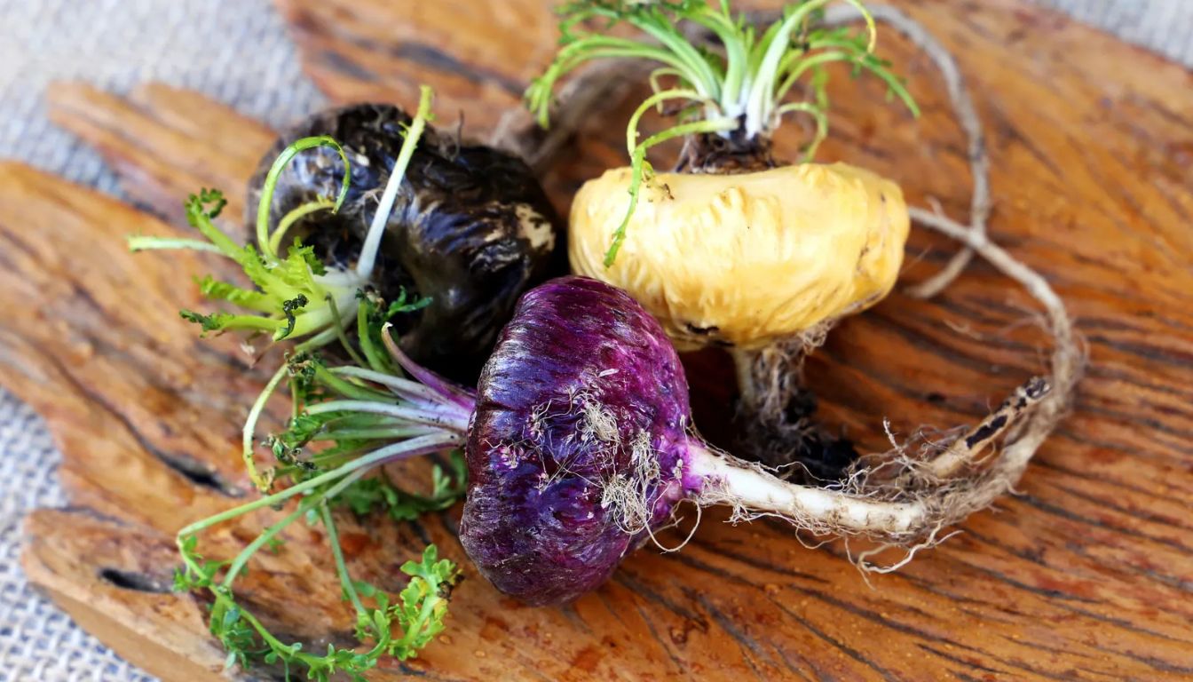 Picture of 7 Powerful Adaptogenic Herbs to Lower Stress and Cortisol (2026)