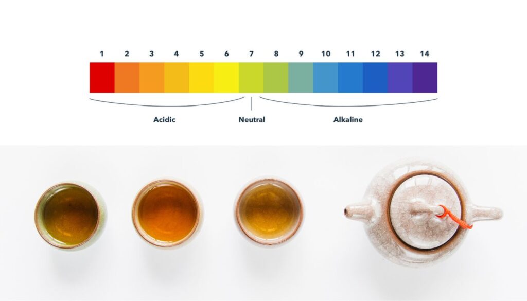 A close-up of a pH test strip being dipped into a cup of herbal tea, showing color changes indicating acidity levels.