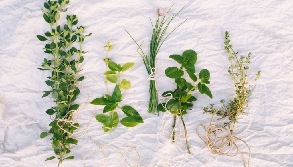 Various fresh herbs tied with twine, laid out on a white cloth.