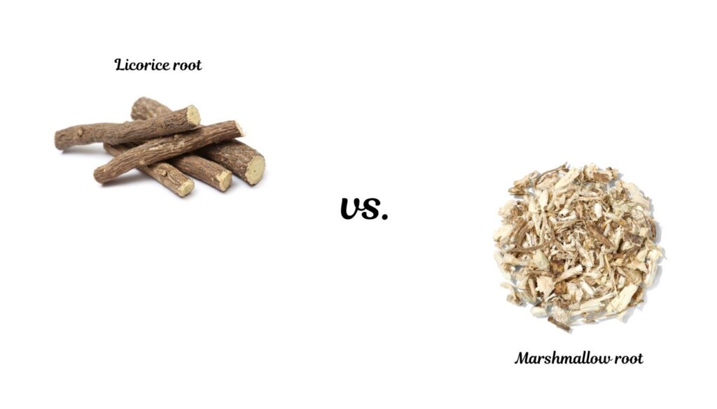 Side-by-side comparison of licorice root and marshmallow root on a neutral background, labeled with their names and separated by a bold 'vs.' text.