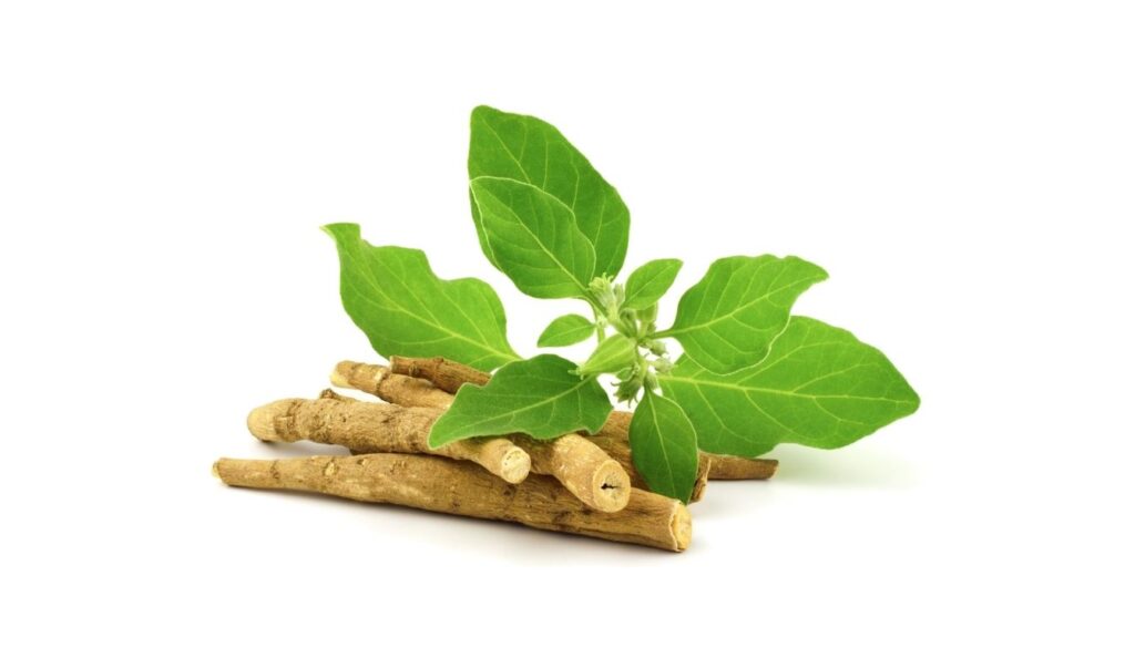 Ashwagandha and Side Effects