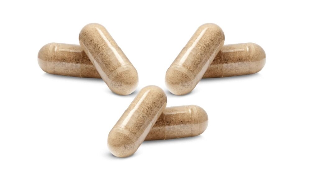 Ashwagandha and Side Effects