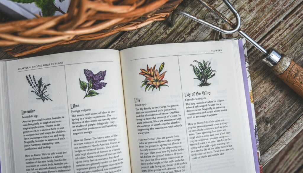 how to become an herbalist for free
